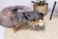 Beeztees Hondenspeelgoed Brain Game Delicious Grijs 28 X 28 X 4,5 Cm 24 Beeztees Hondenspeelgoed Brain Game Delicious Grijs 28 X 28 X 4,5 Cm -Beeztees 8712695202783 10