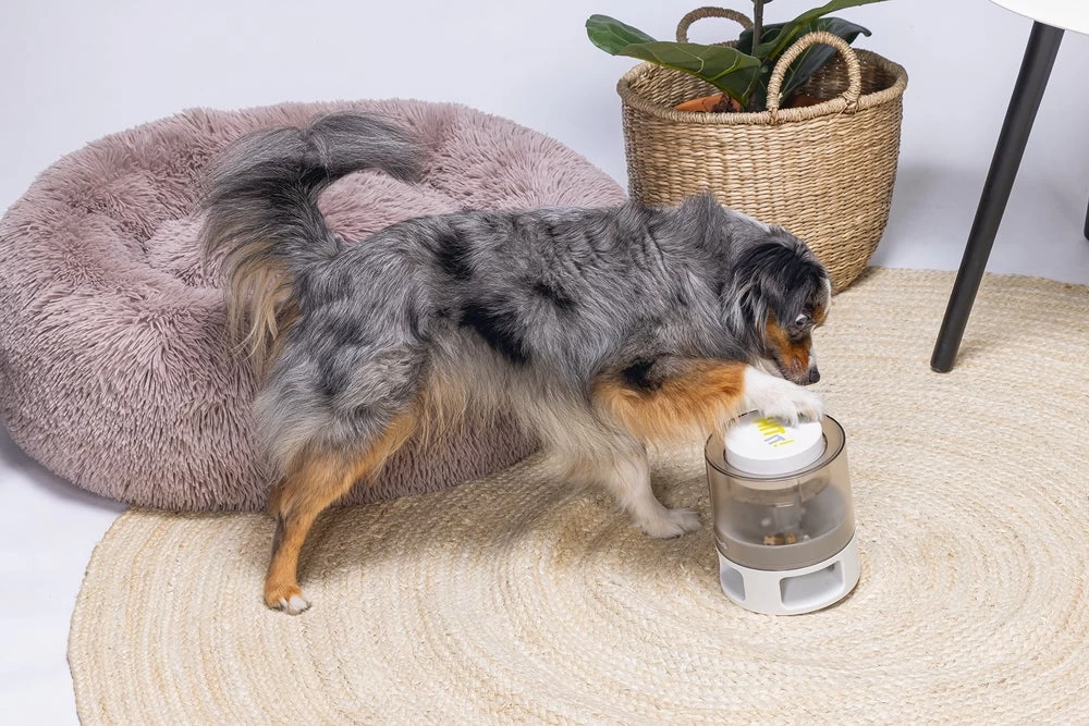 Beeztees Hondenspeelgoed Brain Game Delicious Grijs 28 X 28 X 4,5 Cm 12 Beeztees Hondenspeelgoed Brain Game Delicious Grijs 28 X 28 X 4,5 Cm - Afbeelding 10