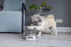 Beeztees Hondenspeelgoed Brain Game Delicious Grijs 28 X 28 X 4,5 Cm 26 Beeztees Hondenspeelgoed Brain Game Delicious Grijs 28 X 28 X 4,5 Cm -Beeztees 8712695202783 12