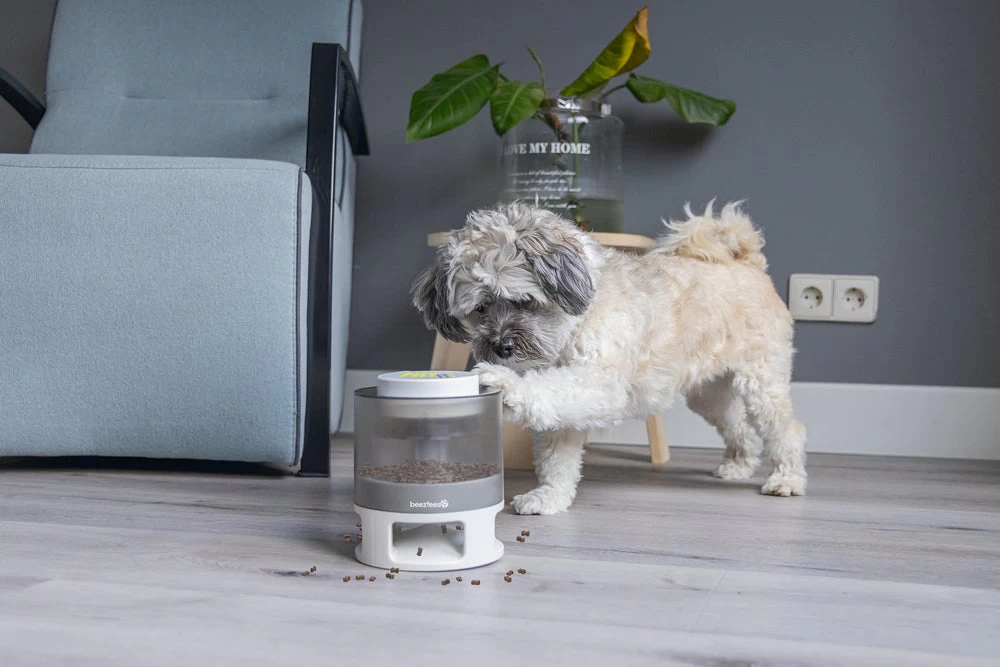 Beeztees Hondenspeelgoed Brain Game Delicious Grijs 28 X 28 X 4,5 Cm 14 Beeztees Hondenspeelgoed Brain Game Delicious Grijs 28 X 28 X 4,5 Cm - Afbeelding 12