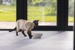 Beeztees Drinkfontein Jaap Wit D 21 H 9 Cm -Beeztees 8712695207214 8