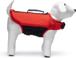 Beeztees Hondenzwemvest XS 28 X 26 X 4 Cm -Beeztees 8712695207504 3