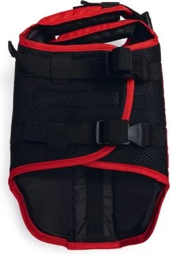 Beeztees Hondenzwemvest XS 28 X 26 X 4 Cm -Beeztees 8712695207504 6