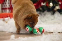 Beeztees Tennisbal Met Kerstprint D 6,3 H 6,3 3 Stuks 13 Beeztees Tennisbal Met Kerstprint D 6,3 H 6,3 3 Stuks -Beeztees 8712695209706 5