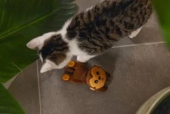 Beeztees Kattenspeelgoed Jungle Aap Matatabi 16 X 7 X 5 Cm -Beeztees 8712695213079 3