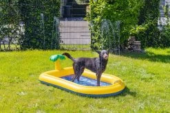 Beeztees Hondenzwembad Palmy 163 X 100 X 47 Cm -Beeztees 8712695213598 4