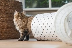 Beeztees Kattentunnel Leo 85 X 25 X 25 Cm -Beeztees 8712695213925 8