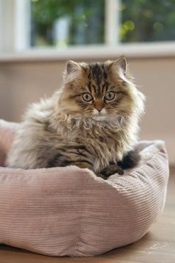 Beeztees Kattenmand Moza Roze 48 X 37 X 15 Cm -Beeztees 8712695214502 8