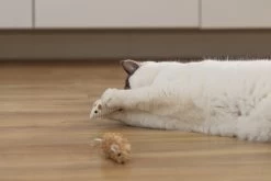 Beeztees Kattenspeelgoed Muis Seerp 7 X 3,5 X 3,5 Cm 2 Stuks -Beeztees 8712695215288 4