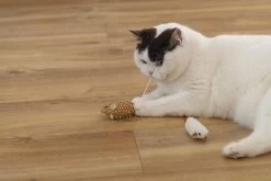 Beeztees Kattenspeelgoed Muis Seerp 7 X 3,5 X 3,5 Cm 2 Stuks -Beeztees 8712695215288 5