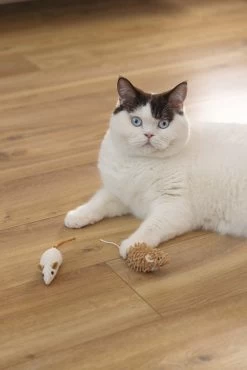 Beeztees Kattenspeelgoed Muis Seerp 7 X 3,5 X 3,5 Cm 2 Stuks -Beeztees 8712695215288 6