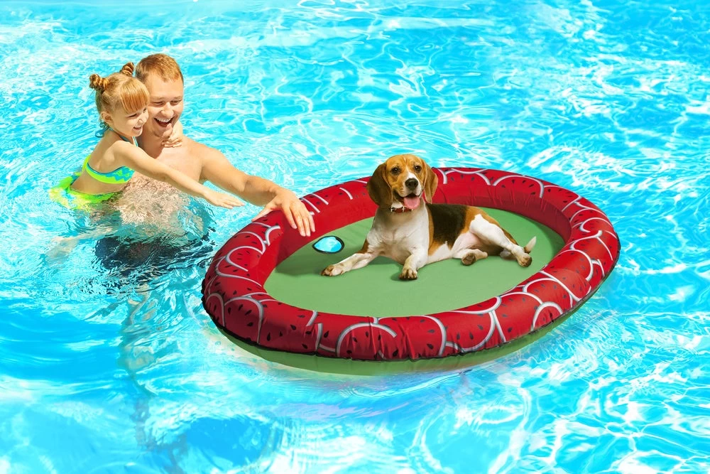 Beeztees Hondenspeelgoed Luchtbed Gody Rood / Groen 140 X 96 X 10 Cm 5 Beeztees Hondenspeelgoed Luchtbed Gody Rood / Groen 140 X 96 X 10 Cm - Afbeelding 3