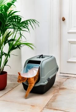 Beeztees Kattenbak Romeo Groen / Zwart 65 X 44 X 46 Cm -Beeztees 8712695710400 3