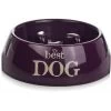 Beeztees Dieet Hondenvoerbak Best Dog Paars 22 Cm -Beeztees dieet hondenvoerbak best dog paars 22 cm 8712695106142 1 0 300x300