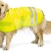 Beeztees Hondenjas Teddie Reflecterend L 50 Cm -Beeztees hondenjas teddie reflecterend l 50 cm 8712695119982 2 0 1526x1079
