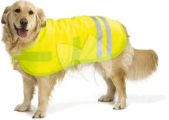 Beeztees Hondenjas Teddie Reflecterend L 50 Cm