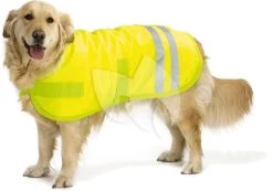 Beeztees Hondenjas Teddie Reflecterend XL 70 Cm