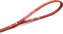 Beeztees Hondenriem Van Leer 100cm X 10mm Rood -Beeztees hondenriem van leer 100cm x 10mm rood 8712695052395 3 0 1798x982