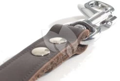 Beeztees Hondenriem Van Leer 100cm X 12mm Bruin -Beeztees hondenriem van leer 100cm x 12mm bruin 8712695052555 3 0 1685x1140