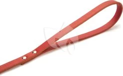 Beeztees Hondenriem Van Leer 100cm X 12mm Rood -Beeztees hondenriem van leer 100cm x 12mm rood 8712695052401 3 0 1795x1109