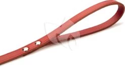 Beeztees Hondenriem Van Leer 100cm X 16mm Rood -Beeztees hondenriem van leer 100cm x 16mm rood 8712695052418 3 0 1780x949