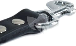 Beeztees Hondenriem Van Leer 165cm X 16mm Zwart -Beeztees hondenriem van leer 165cm x 16mm zwart 8712695052630 2 0 1705x1039