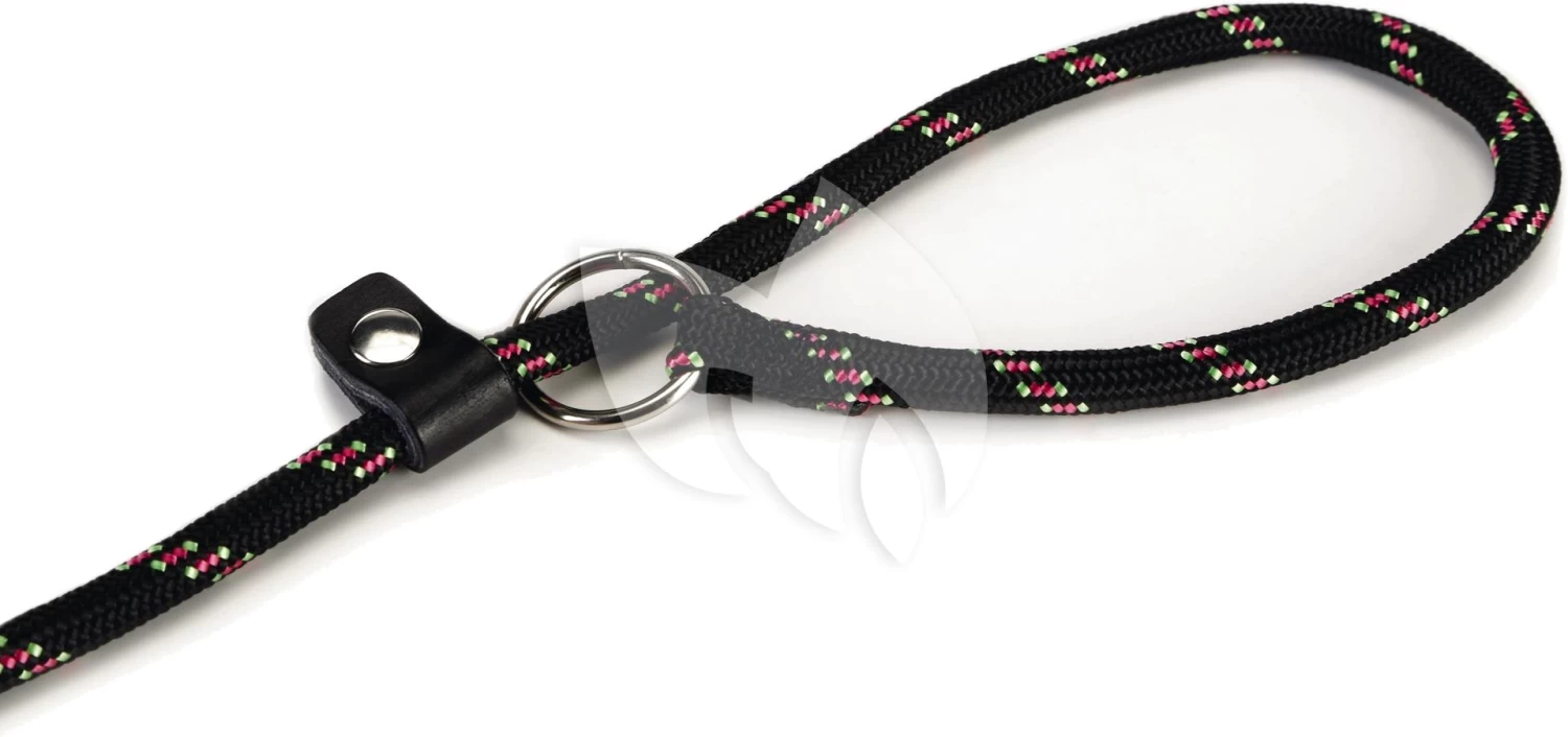 Beeztees Hondenriem Van Rond Nylon Sliplijn 170cm X 8mm Zwart 5 Beeztees Hondenriem Van Rond Nylon Sliplijn 170cm X 8mm Zwart - Afbeelding 3