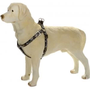 Beeztees Hondentuig Envy 35-60cm Zwart 3 Beeztees Hondentuig Envy 35-60cm Zwart