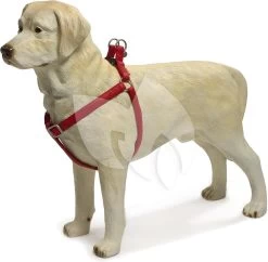 Beeztees Hondentuig Mac Leather 35-60cm Rood