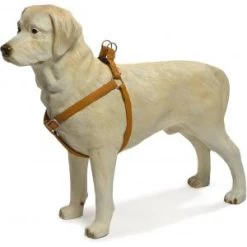 Beeztees Hondentuig Mac Leather 41-59cm Bruin 9 Beeztees Hondentuig Mac Leather 41-59cm Bruin -Beeztees hondentuig mac leather 41 59cm bruin 8712695086673 1 0 300x300 1