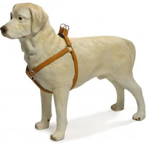 Beeztees Hondentuig Mac Leather 41-59cm Bruin 5 Beeztees Hondentuig Mac Leather 41-59cm Bruin - Afbeelding 3