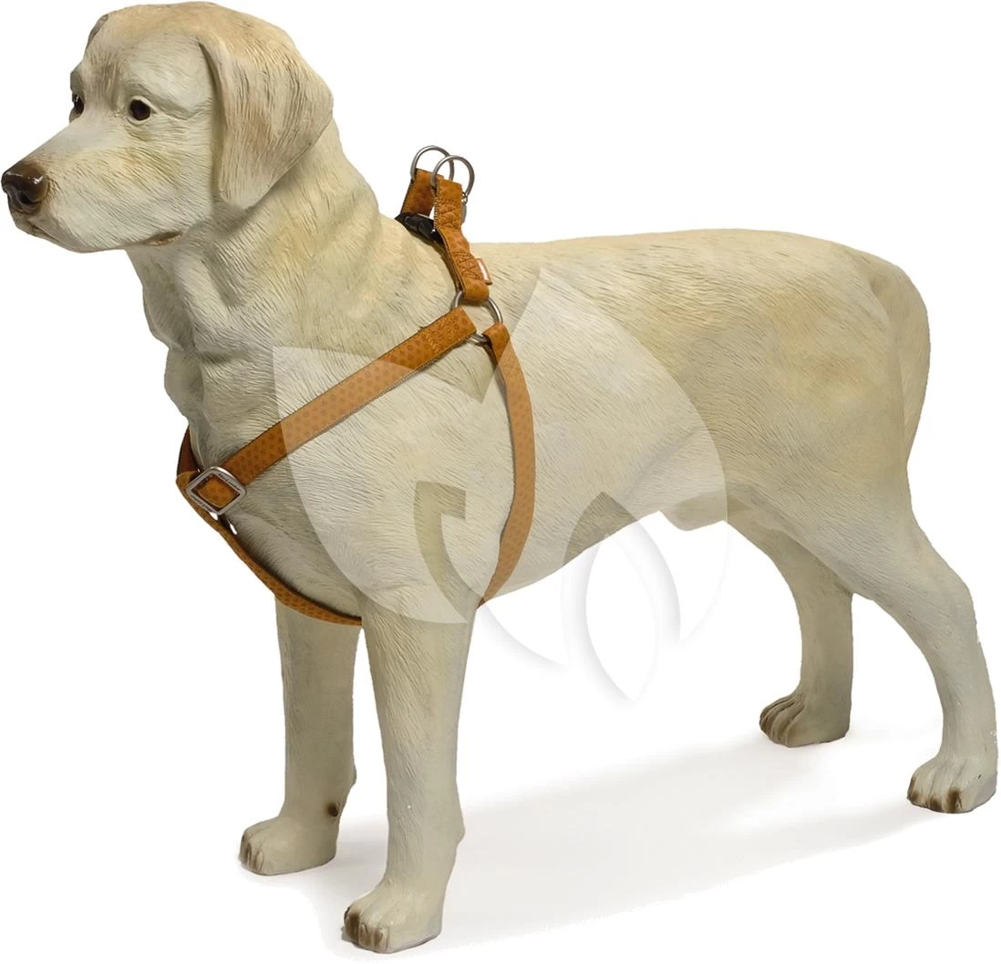 Beeztees Hondentuig Mac Leather 52-73cm Bruin 3 Beeztees Hondentuig Mac Leather 52-73cm Bruin