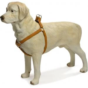 Beeztees Hondentuig Mac Leather 66-100cm Bruin 5 Beeztees Hondentuig Mac Leather 66-100cm Bruin - Afbeelding 3