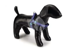 Beeztees Hondentuig Nylon 35-60cm Blauw