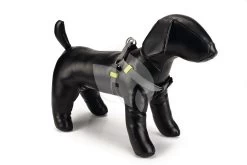 Beeztees Hondentuig Nylon 35-60cm Donkergrijs