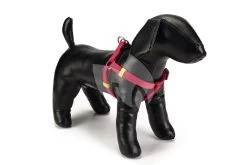 Beeztees Hondentuig Nylon 35-60cm Roze