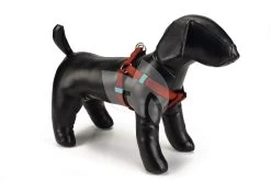 Beeztees Hondentuig Nylon 46-75cm Lichtbruin