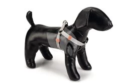 Beeztees Hondentuig Nylon 46-75cm Lichtgrijs