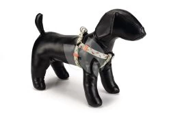 Beeztees Hondentuig Nylon Melon 60-100cm Lichtgroen