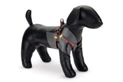 Beeztees Hondentuig Nylon Scribbles 60-100cm Zwart