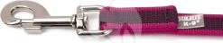 Beeztees Julius-K9 Antislip Hondenriem 120 Cm Roze 5 Beeztees Julius-K9 Antislip Hondenriem 120 Cm Roze -Beeztees julius k9 antislip hondenriem 120 cm roze 5999053650100 1 0 1821x355