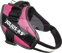 Beeztees Julius-K9 IDC-Powertuig 58-76cm Roze