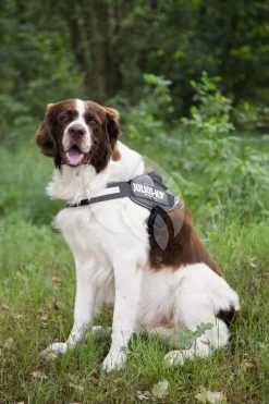 Beeztees -Beeztees julius k9 idc powertuig 71 96cm antraciet 5999053665623 1 0 1333x2000