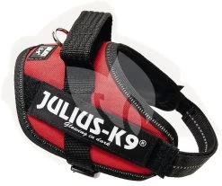 Beeztees Julius-K9 IDC-Powertuig Mini 49-67cm Rood