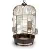 Beeztees Vogelkooi Julia 3 Goud -Beeztees vogelkooi julia 3 goud 8712695110828 1 0 300x300